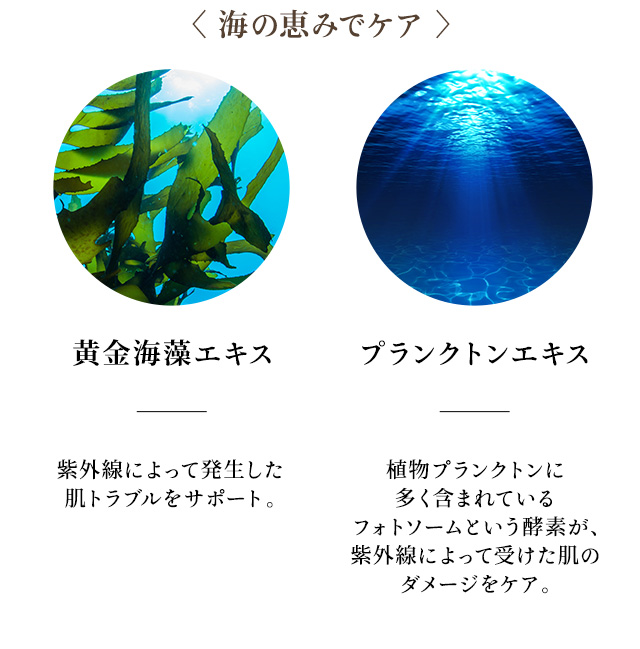 モイスチュアライジングクリーム 45g