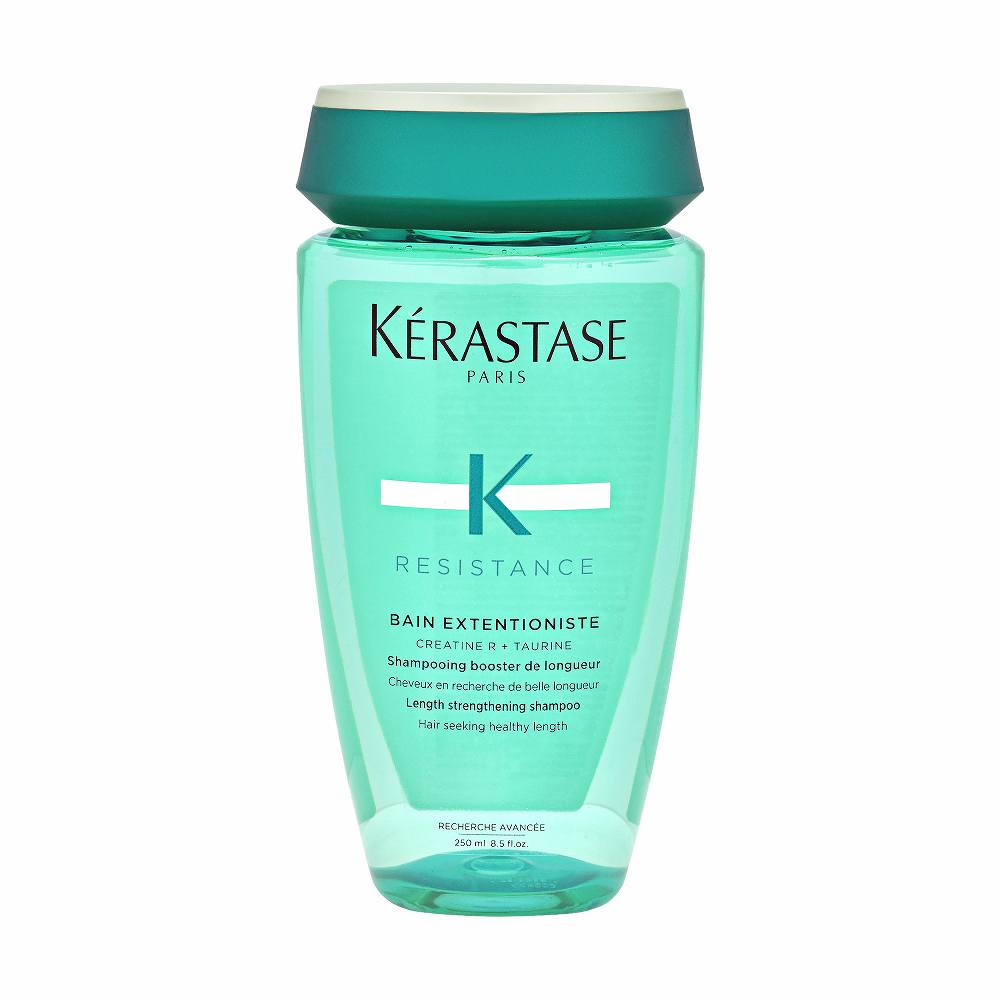 【目玉商品】レジスタンス RE バン エクステンショニスト  250ml